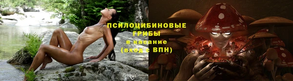 шишки Зерноград