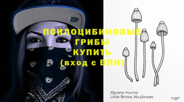 шишки Зерноград