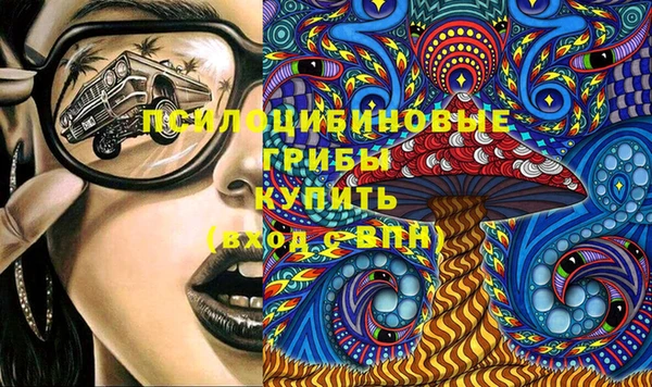 амф Зеленодольск