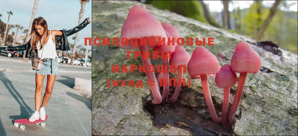 шишки Зерноград