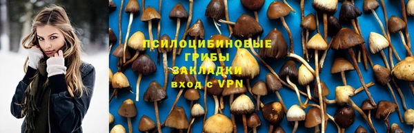 амф Зеленодольск