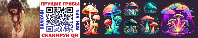 Купить закладки  Мытищи  Галлюциногенные грибы Cubensis 